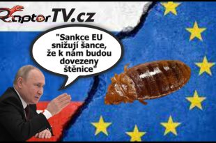 Putin: "Sankce EU snižují šance, že k nám budou dovezeny štěnice" Ruský prezident Vladimír Putin si dělá legraci ze sankcí EU vůči Rusku...