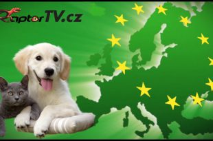„Kočka je katastrofou pro biologickou rozmanitost, pes je katastrofou pro klima“ Tož, na řadě jsou kočky a psi...
