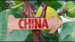 Příběhy ze Xinjiangu - Epizoda 3 - Fíky: Sladký život Historie pěstování fíků lidmi je tisíciletá...