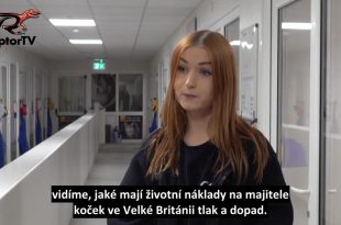 Video o chovatelích drobného zvířectva v Británii