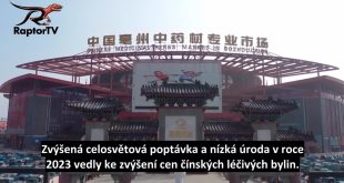 Čína a její trh s léčivými bylinami.