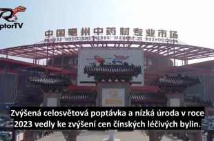 Čína a její trh s léčivými bylinami.